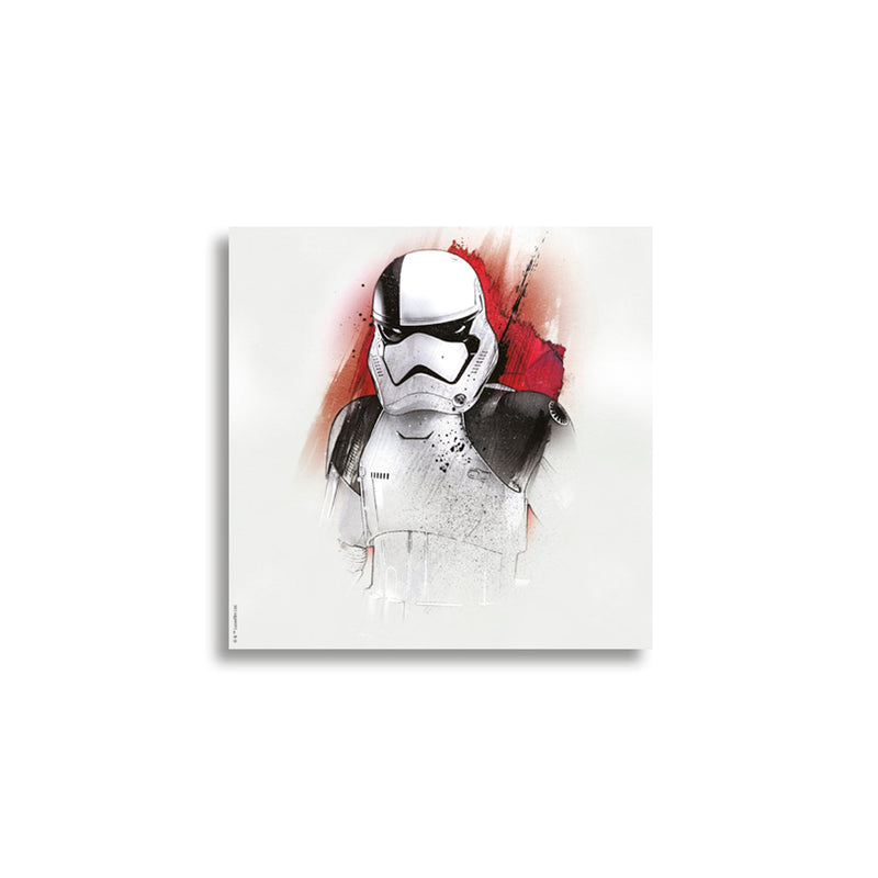 Cuadro Star Wars 12 30x30 cms