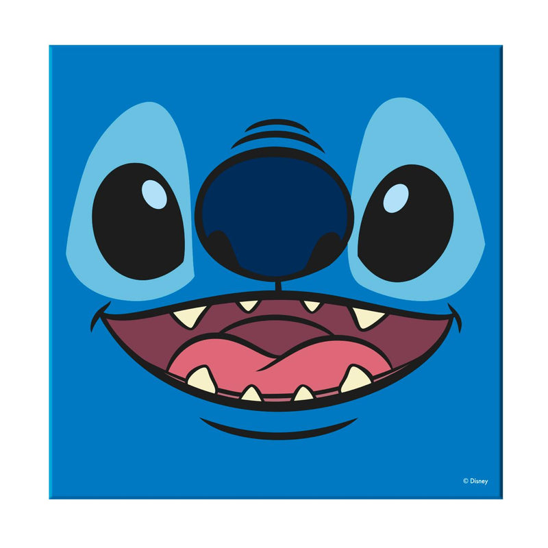 Cuadro Stitch 1 30x30 cms