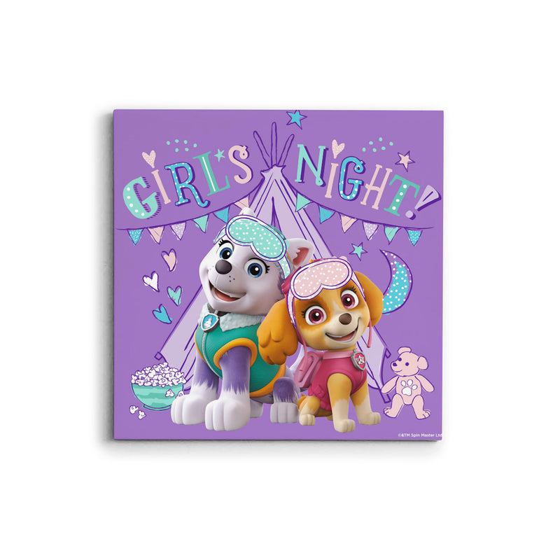 Pack 12 Unids Canvas Paw Patrol 10 30x30 cms