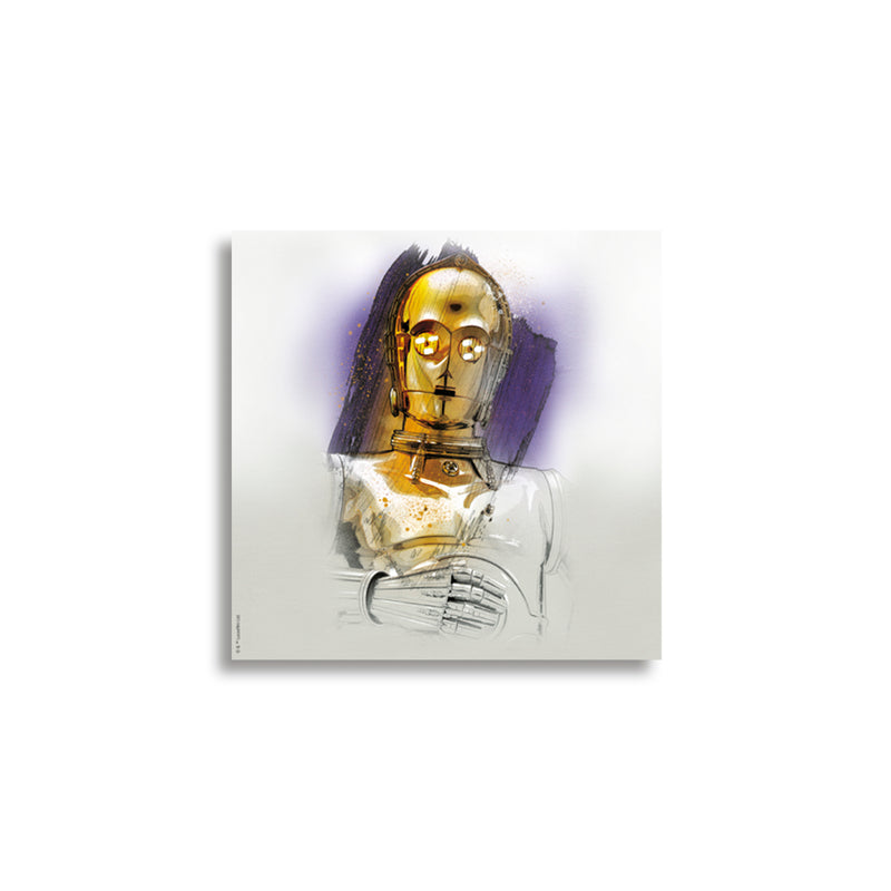 Pack 12 Unids Canvas Star Wars 5 30x30 cms